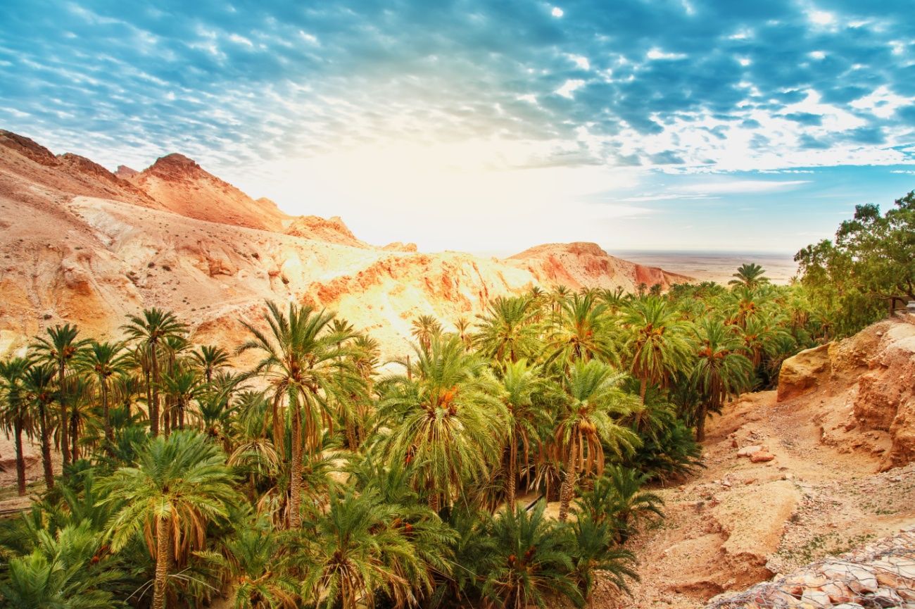 トゼール（サハラ砂漠の拠点都市）