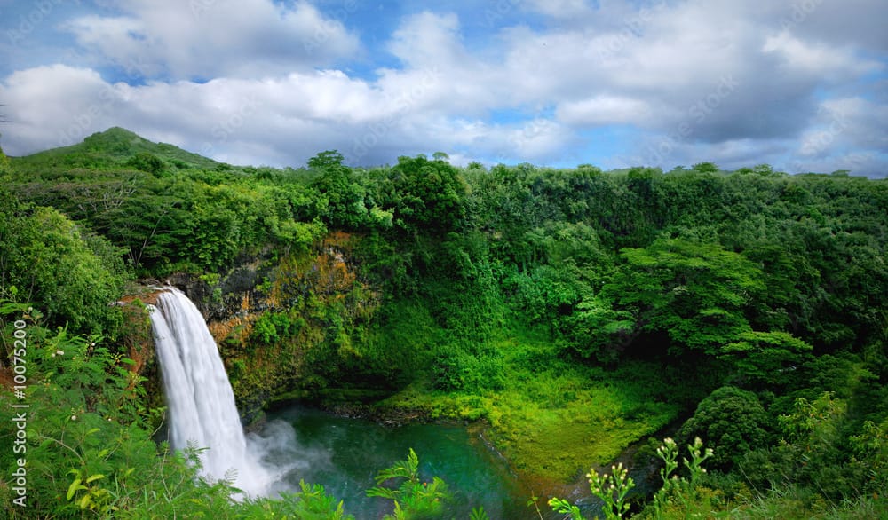 ハワイ waterfall tropical