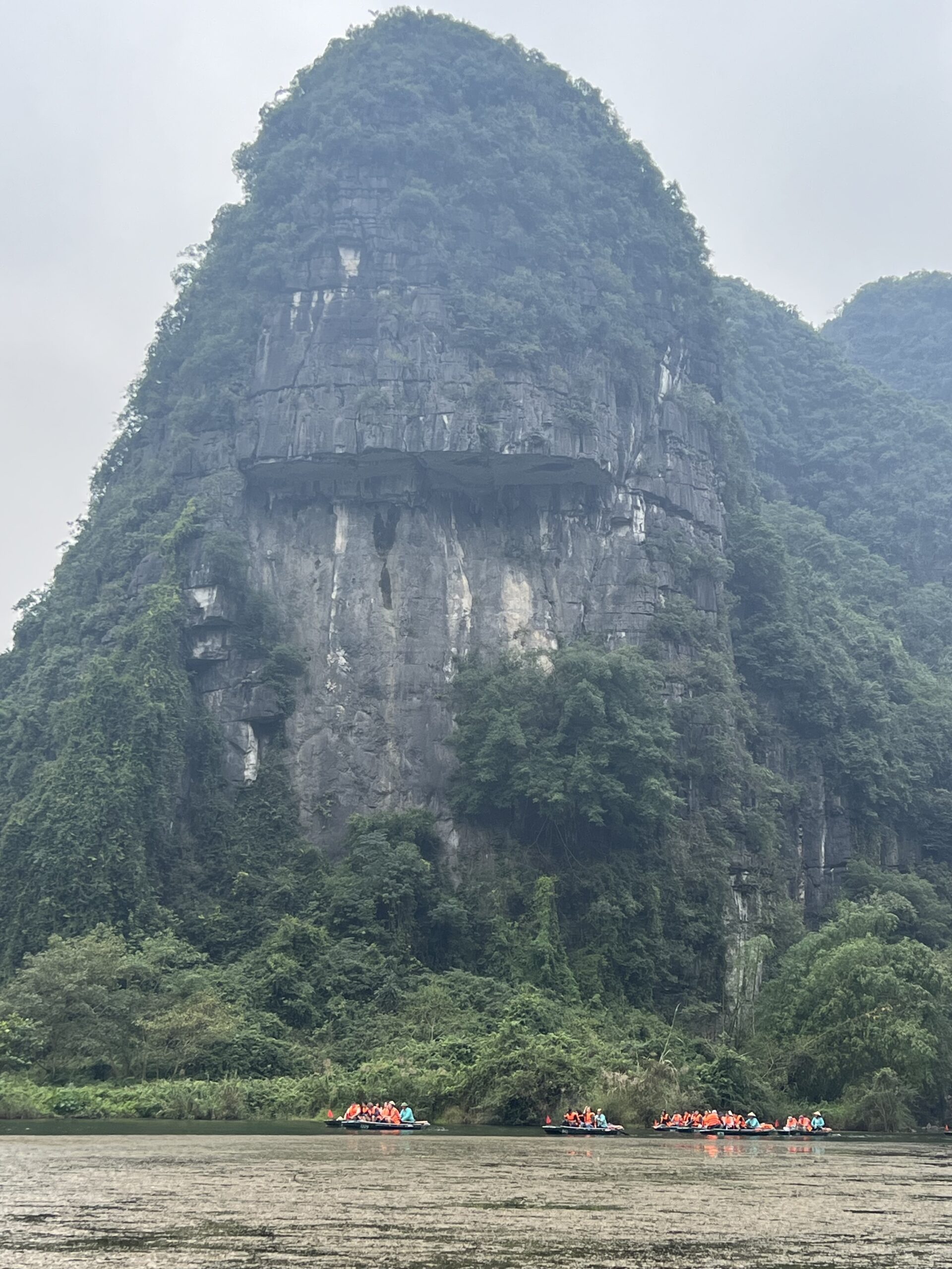 ニンビンのバンブーボートツアー